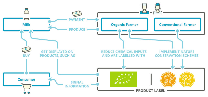 Design: Hannes Schulze | Nur Mut Hannes Schulze | Nur Mut